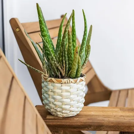 Casa Boaz * Carvoeiro (Lagoa)